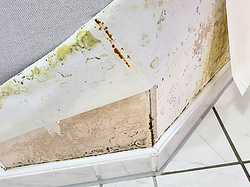 Schimmelbefall am Boden